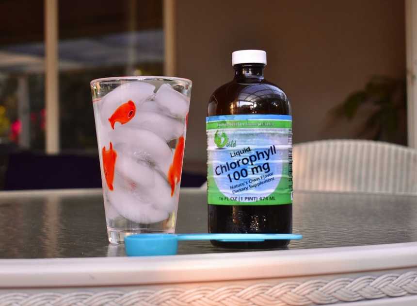  I Drank Chlorophyll Water for 7 Daysu2014Here’s What It Did to My Pores and skin